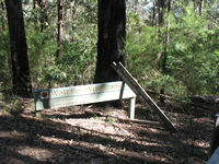 Culoul Fire Trail, Wollemi